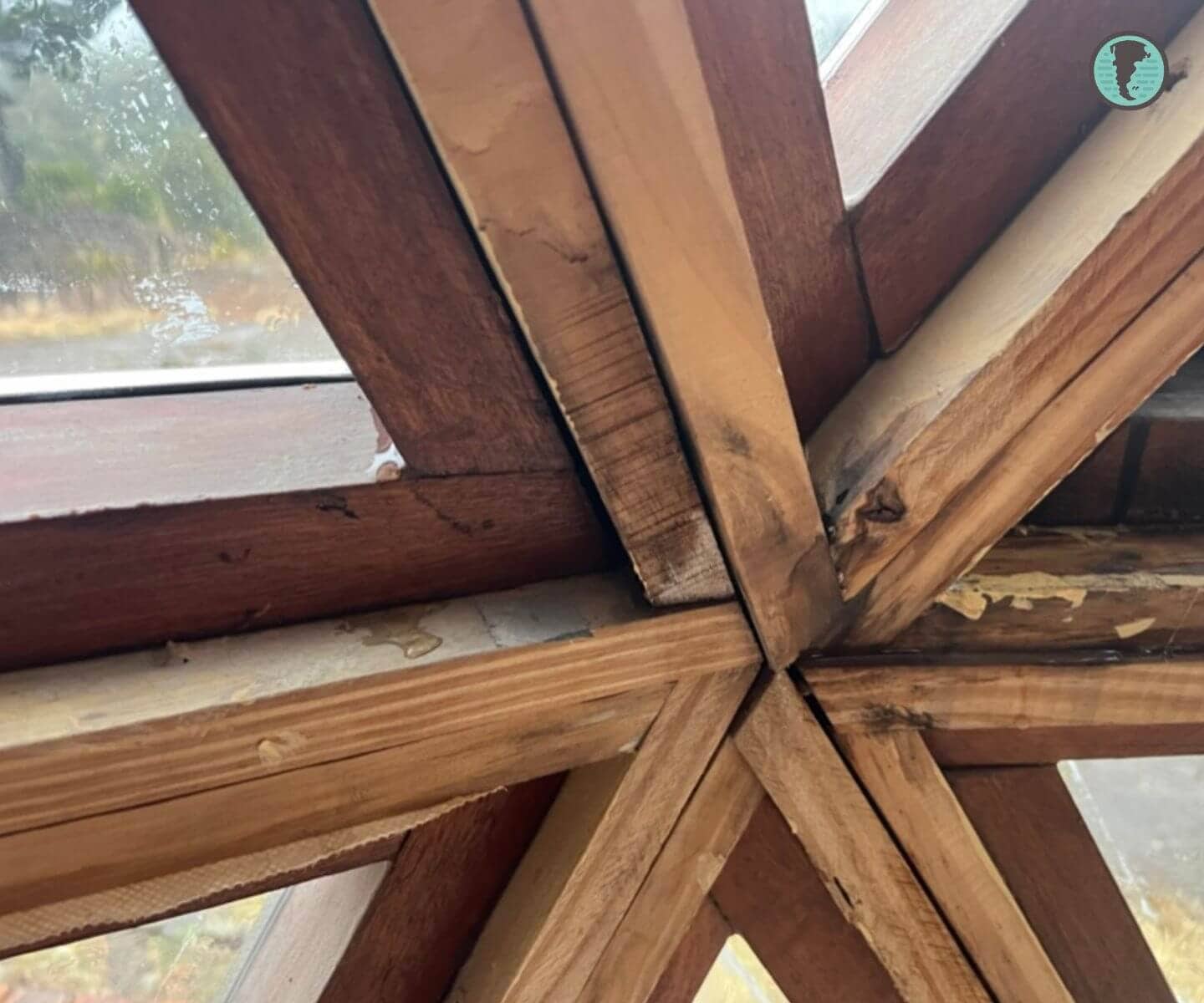 Aparición de hongos y deterioro en encuentro de vigas del domo geodésico alrededor de abertura triangular
