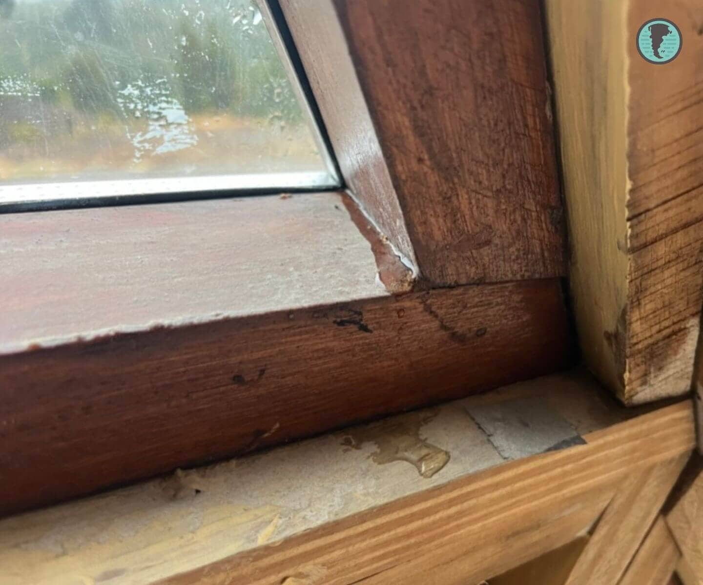 Filtraciones persistentes en unión entre ventana y estructura del domo a pesar de sellados múltiples